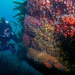 8024319870_20eb41bcf1_b